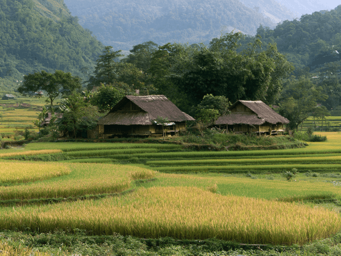 Travel